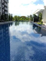 The Lakefront Residences (D22), Condominium #458662121